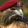 Profilbild von ابو خالد
