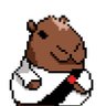 Фото профиля capivara vascaino jogador de tf2