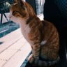 destructioner profil fotoğrafı