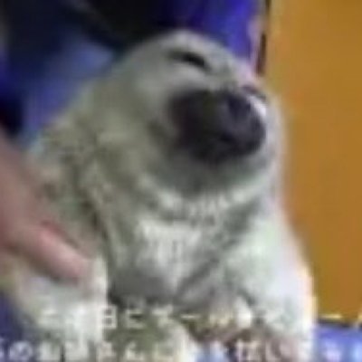 MERKY's profile picture