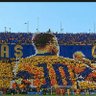 VHugoCastilloL 🐯's profile picture