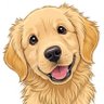 ANIMALITOS SANADORES 的头像