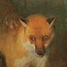 FoxIntox profil fotoğrafı