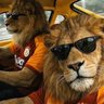 Borishello's profile picture