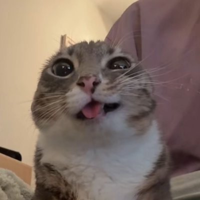 Tk ddk's profile picture