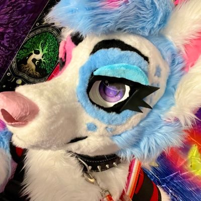 🍷 RosèFox 🍾 🔜 FWA, MP's profile picture