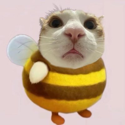 雾's profile picture