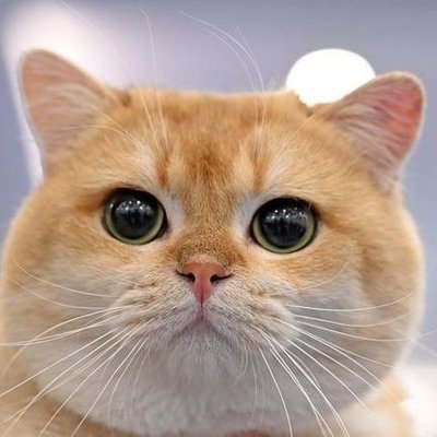 Nw_nawa's profile picture