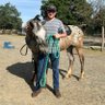 Jack🤠🐎the country boy:3 profil fotoğrafı