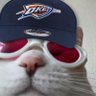 dʀᴏᴏ's profile picture