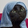 Monja La Janjað©ð§ð·ð³'s profile picture