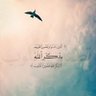 نهج مستقيم's profile picture