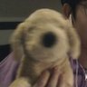 Profilbild von จ่ามะดุ๋ง 👮🚔•°○°•