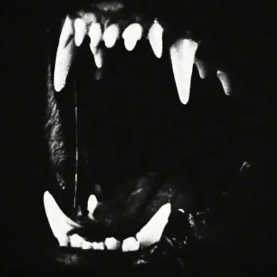 Karry🐺's profile picture