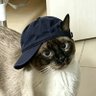 nobody's profile picture