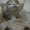 Gutchim..'s profile picture