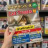 Cat Treats🍯 profil fotoğrafı