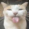 uraniumeater's profile picture