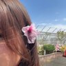 fatima 的头像