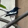 Фото профиля Lovelybirdie
