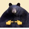 Profilbild von RdB