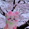 Фото профиля うさぎたん