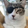 Profilbild von Arabasevdasi16