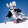 Profilbild von れんちゃん🦊LEN the Snow Fox