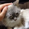 たーいえ profil fotoğrafı
