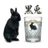 Profilbild von 遠つ代の黒うさぎ