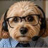 Ababu A. profil fotoğrafı