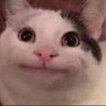 Profilbild von 猫がしゃべれる แมวพูดได้