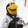 Profilbild von 🇨🇦pens fan for life🇨🇦
