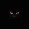Profilbild von CK