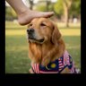 kepiting33's profile picture