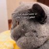Фото профиля وليد بن عبدالله