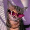 Profilbild von Marianita