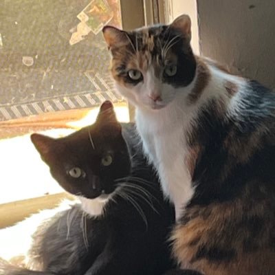 clementine & basil's profile picture