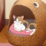 S A H I L's profile picture