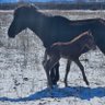 Фото профиля S.M Mongolia