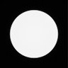 popener's profile picture
