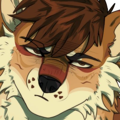 Jeffe's profile picture