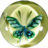 Elka_Ya's profile picture
