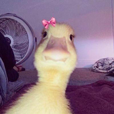 MariangelS254's profile picture