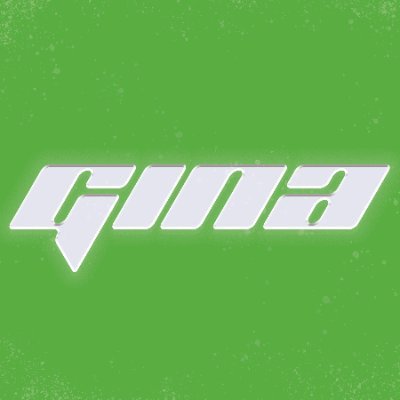 ginafutebol's profile picture