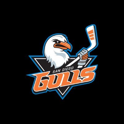 SDGullsAHL's profile picture