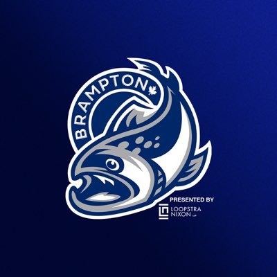 OHLSteelheads's profile picture
