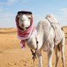 عبدالوهاب's profile picture