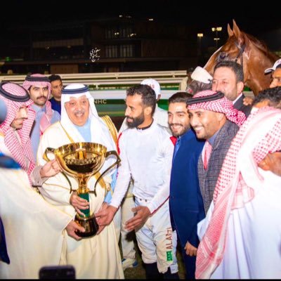 n_al7remes's profile picture