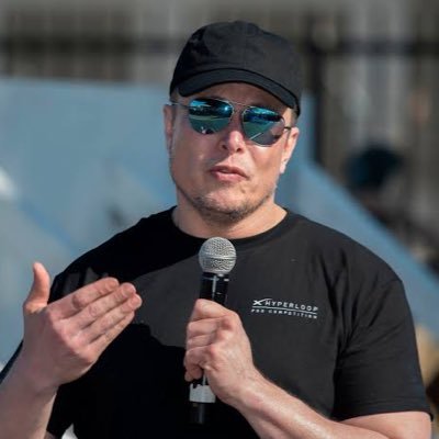 rottingdesires's profile picture